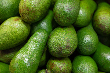 Tasty organic avocado at fruit and vegetable market