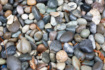 Rock Pebble Beach Stone Background Texture