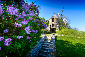 La Sallette windmill and springtime flowers - obrazy, fototapety, plakaty