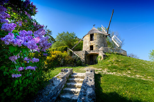 La Sallette windmill and springtime flowers