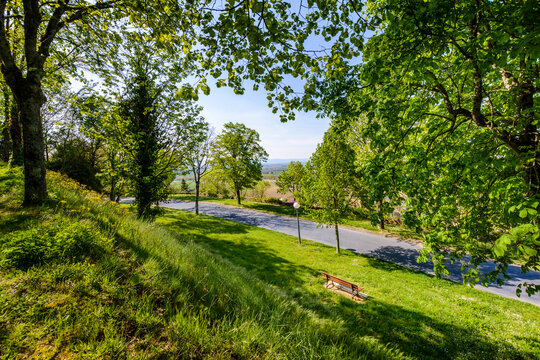 Tree path at Lautrec village