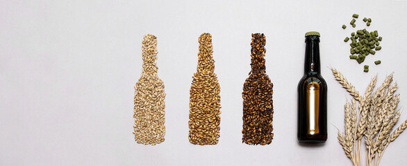 Beer bottles made from various malted grain, flat lay. Craft beer brewing from grain barley malt....