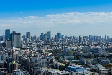 Fototapeta na wymiar 高層ビルから見る東京の風景