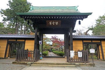 豪徳寺の山門
