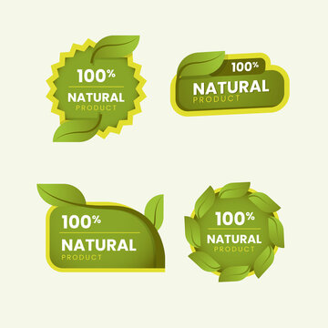 Green nature labels sticker design set concept