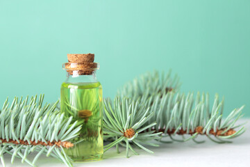 Fototapeta premium A bottle with cosmetic oil or face serum with pine twigs. Pine essential oil or skin care solution for anti age treatment. Copy space. Great fermented ingredient.
