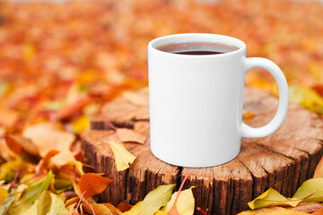 White cup with a hot drink outdoors in the forest on colorful leaves. Mockup for advertising and text with copy space, front view.