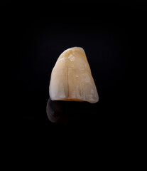 Tooth on black, dental prosthesis