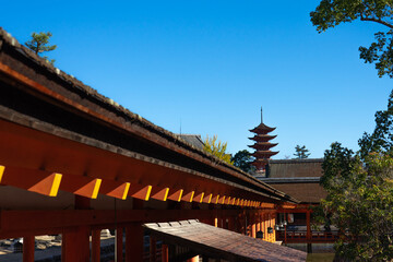Obraz premium pagoda