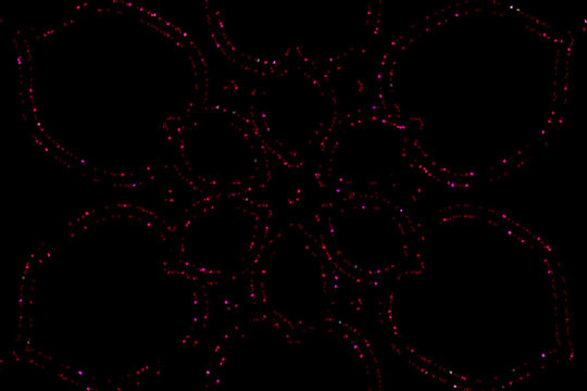 Red flower outline Mandala background.Red Mandala.