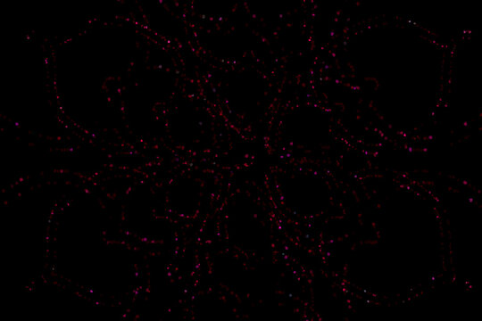 Red flower outline Mandala background.Red Mandala.
