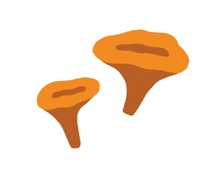 Chanterelles, big and small mushrooms composition. Autumn forest food. Fall edible Cantharellus fungus. Fungi icon drawn in doodle style. Flat vector illustration isolated on white background