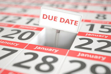 DUE DATE sign on January 21 in a calendar, 3d rendering
