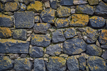 Orange Moss on Ancient Brick Wall. Close Up View of Texture