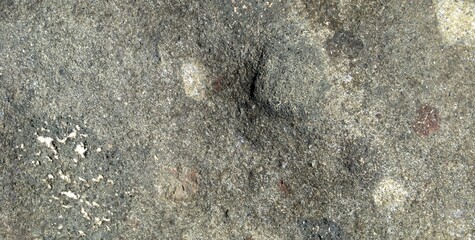 Texture of gray natural stone with shadows