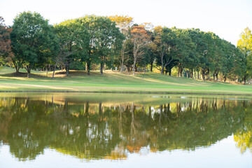 水面に写ったゴルフ場の木々