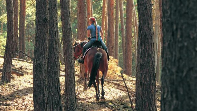 Horse riding. Equitation. Young woman, horseman is riding brown horse in the forest, on summer sunny day, in sun rays.