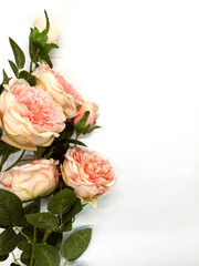 Floral frame of pink and beige peony buds, branches and leaves isolated on a white background. Flat position, top view. A frame of flowers. Floral background.