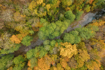 Colorful autumn view of the Caucasus mountains. Great view of the yellow trees. Tod down view.