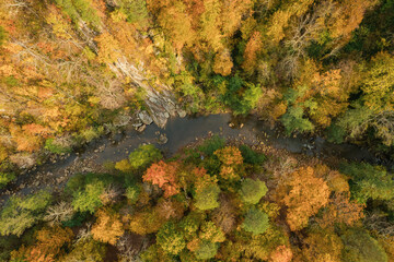 Colorful autumn view of the Caucasus mountains. Great view of the yellow trees. Tod down view.