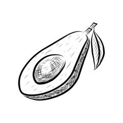 A dashed drawing of an avocado fruit on a white background.