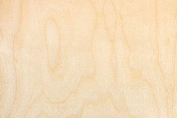 natural wooden surface of clean finished birch plywood sheet