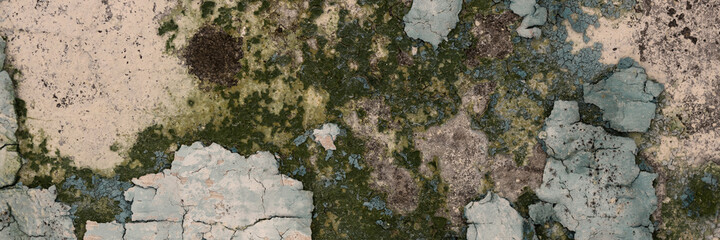 Obraz premium Peeling paint on the wall. Panorama of a concrete wall with old cracked flaking paint. Weathered rough painted surface with patterns of cracks and peeling. Wide panoramic grunge texture for background