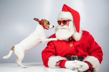 Santa claus and santa's helper in sunglasses on a white background. Jack russell terrier dog in a deer costume.