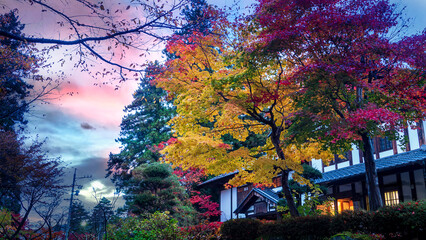 Snow Monkeys Japanese Macaques bathe in onsen hot springs of Nagano, Japan