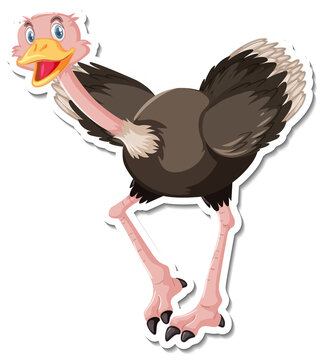 recommend clip art: Ostrich cartoon character sticker