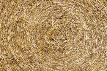 Closeup of a Yellow Round Straw Bale background. Copy space fro your text.