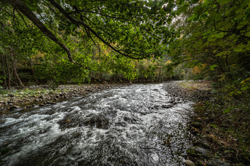 Nature and environment, The Aude river, the forest in autumn and the mountains, Belvianes and Cavirac, France, High quality photo