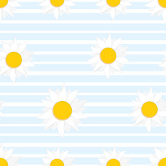Daisy flower seamless on white background illustration. Vector illustration.