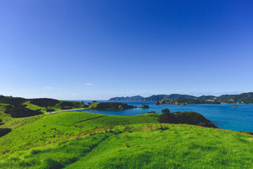 Fototapeta na wymiar bay of islands, new zealand