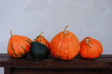 Composition of several orange and one green pumpkins on a wooden bench against a gray wall. Harvest pumpkins on the porch of a village house. Healthy vegetables from the garden.