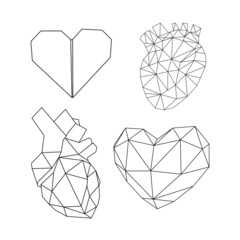 internal organs origami: low poly, triangles