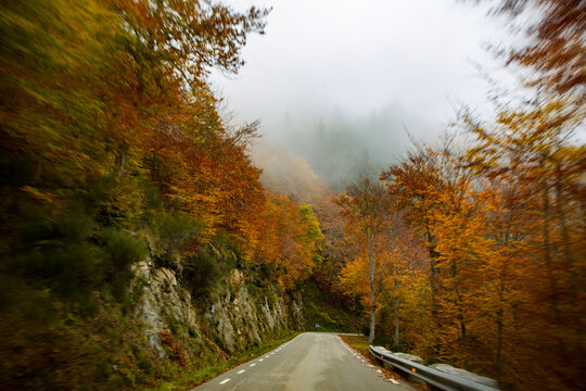 driving to nowhere in a autumn forest with fog