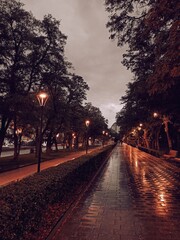 sunset in the park