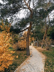 path in the park
