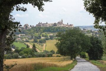 Corinaldo, Ancona. Panorama estivo del borgo nel contesto rurale con il Santuario Diocesano di...