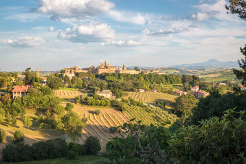 Corinaldo, Ancona. Panorama estivo del borgo nel contesto rurale con il Santuario Diocesano di Santa Maria Goretti.
