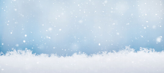 Panoramic Nature Winter Christmas Header Background