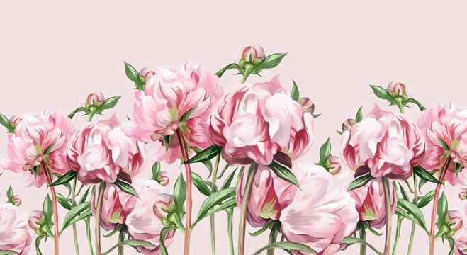 peonies art painted in a pastel style on a light solid background, photo wallpaper