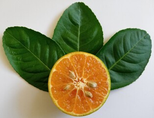 Half of orange and three leaf on a white background