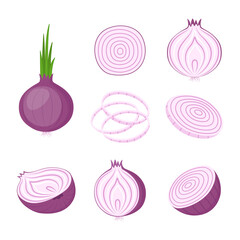 Red onion, whole and cut. Farm vegetables, vector illustration