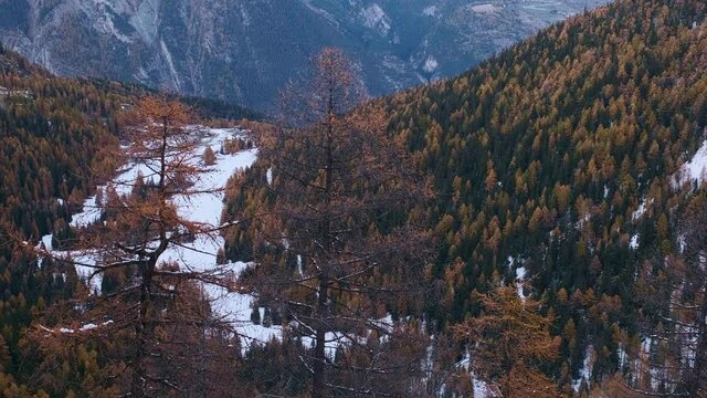 Panorama di vallata con bosco fitto in inverno. Valle d'Aosta in inverno