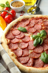 Concept of tasty food with Salami pizza, close up