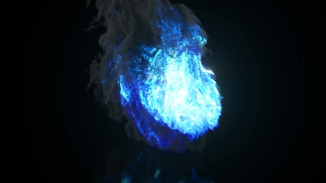 Burning Collection. Fire lion. Nature and animals concept. Running lion. 3d animation of seamless loop. 