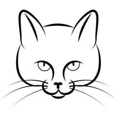 Vector sketch of a cat's face. Illustration on a white background.