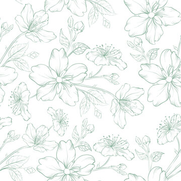 Sakura seamless pattern on white background.